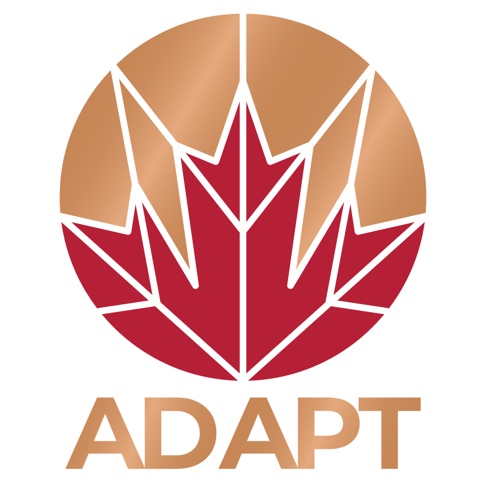 Adapt Consultants logo