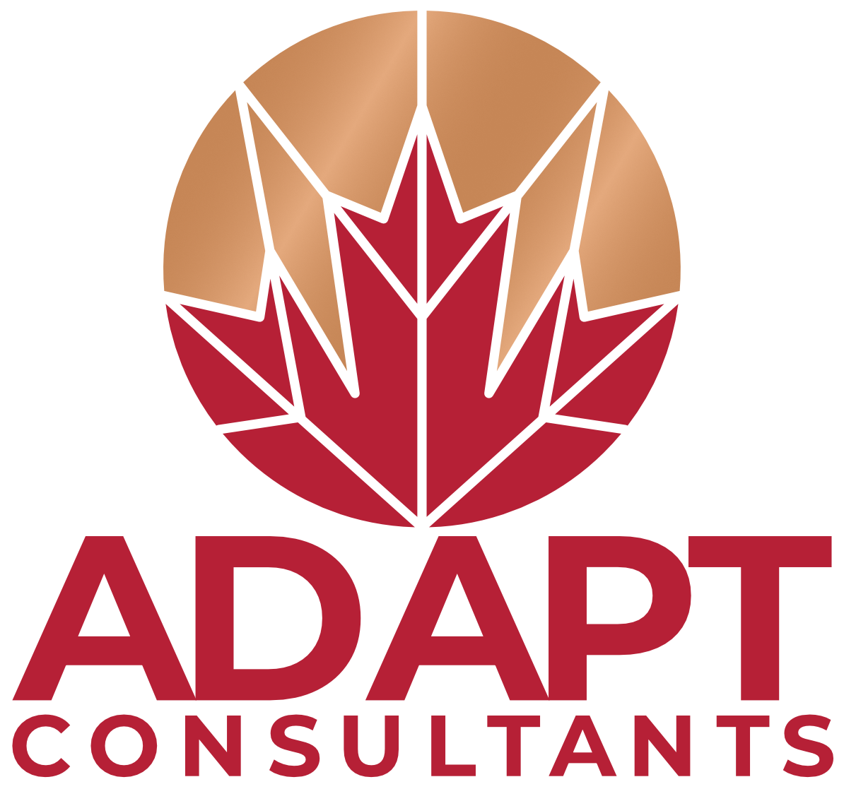 adapt consultants logo