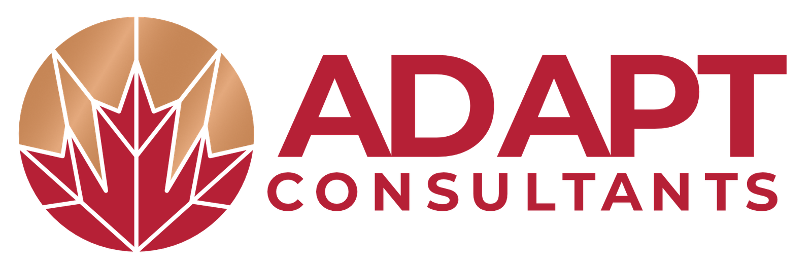 adapt consultants logo